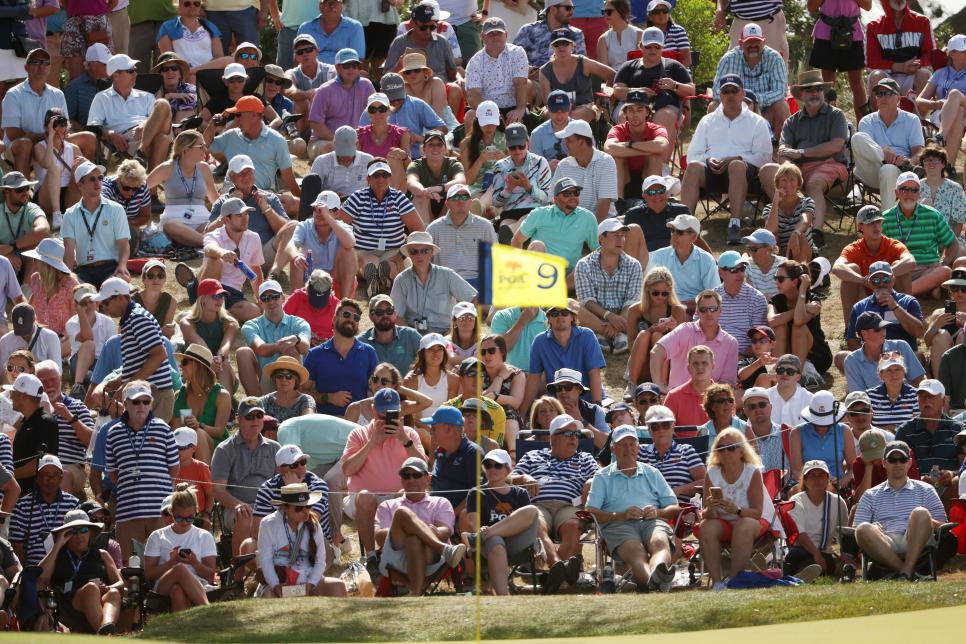 Top 5 Golfers with the largest fan bases 73buzz