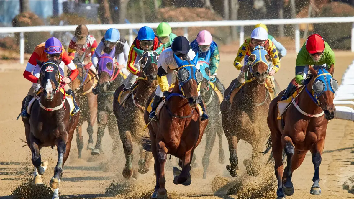 The 5 Most Prized Thoroughbred Horse Races in America