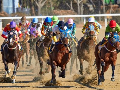 The 5 Most Prized Thoroughbred Horse Races in America
