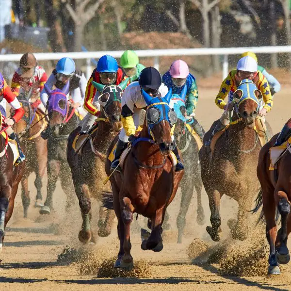 The 5 Most Prized Thoroughbred Horse Races in America