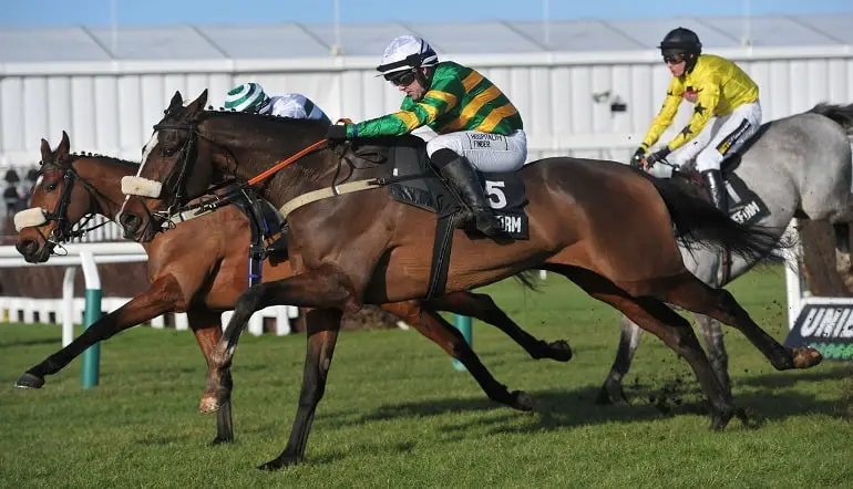 Jagwar: Cheltenham’s Next Star Set to Shine in TrustATrader Plate Handicap Chase